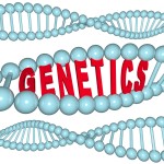 BodyBFF_Genetics