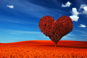 Heart shape tree with red leaves on red flower field. Love